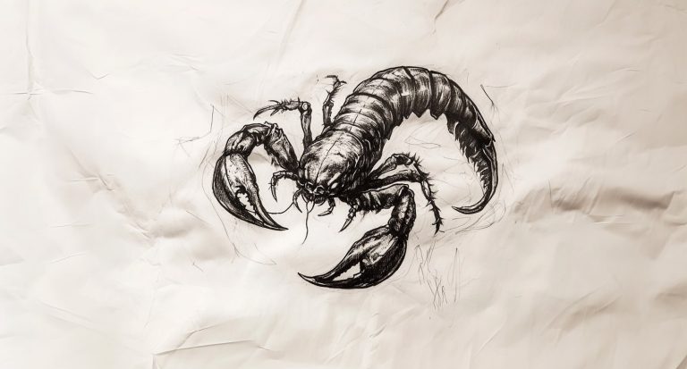 Zodiac Signs Tattoo Ideas